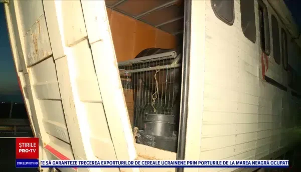 Un camion cu cai, cuprins de un incendiu pe Autostrada Soarelui. Șoferița a avut prezența de spirit să salveze animalele