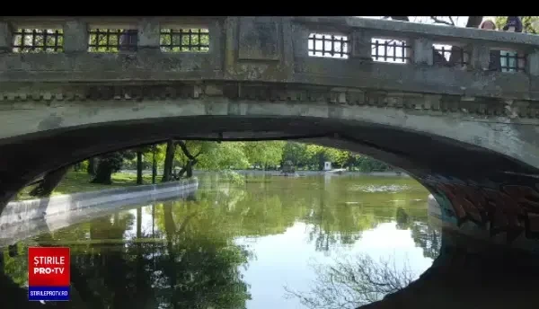 Parcul Cișmigiu se transformă în junglă. După ciorile invadatoare au apărut șerpii