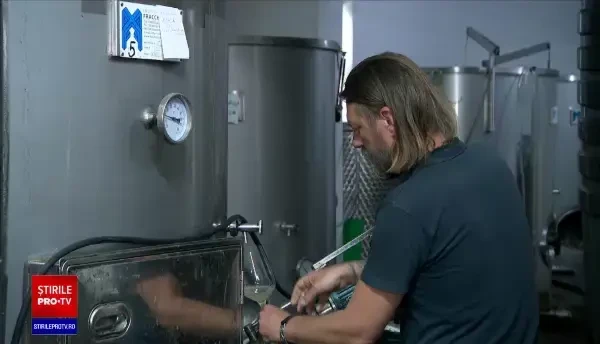 România a început să exporte vinuri premium. Secretele dezvăluite de producătorii din țară