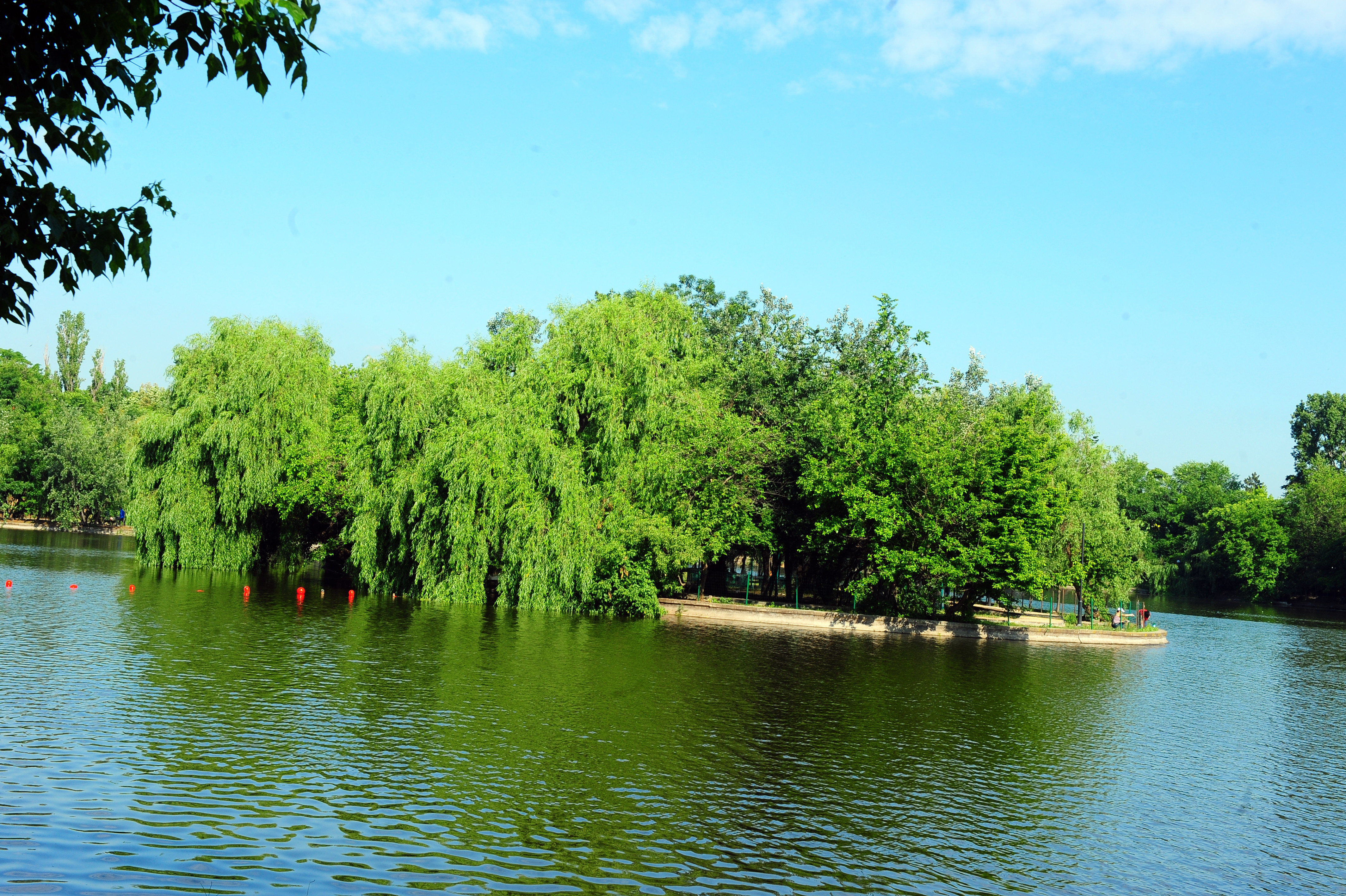 Prefectul Capitalei cere anularea dispoziţiilor primarului general de restituire a Parcului Bordei