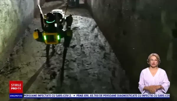 Cum a ajuns câinele robot Spot ajutorul de nădejde al arheologilor, în orașul antic Pompeii