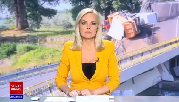 Pompierii au reușit să salveze 4 dintre cele 20 de oi surprinse de prăbuşirea podului din Neamț