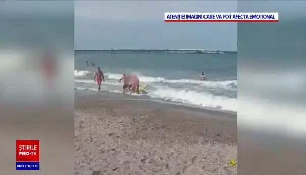 Raed Arafat, despre geamandura în formă de cruce, ajunsă pe litoral: ”Am comis-o din nou!”