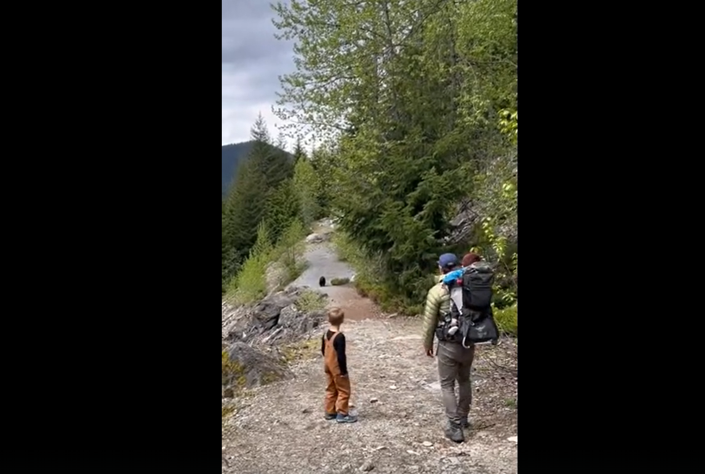 „Dumnezeule. Nu alerga!” Un urs a urmărit o familie în timpul unei drumeții. VIDEO