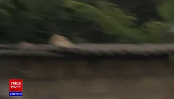 Rușii bombardează fără nicio strategie, doar pentru a distruge. ”Nu e niciodată liniște aici. Am uitat ce înseamnă asta”