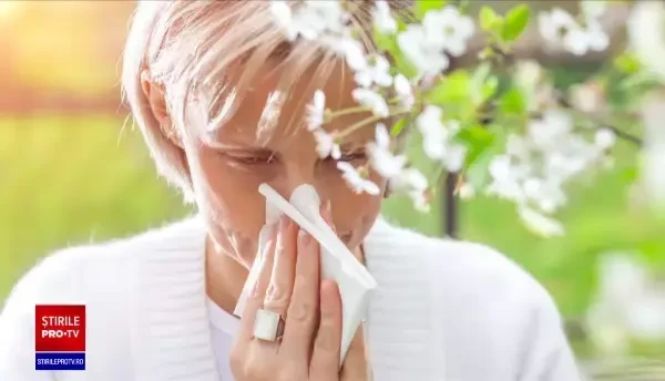 Problema ambroziei, ridicată în ședința de guvern. Premierul României a cerut Ministerul Mediului să ia măsuri