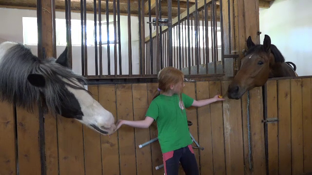 Taberele tematice și de echitație pentru copii, la mare căutare. Se fac rezervări cu multe luni înainte