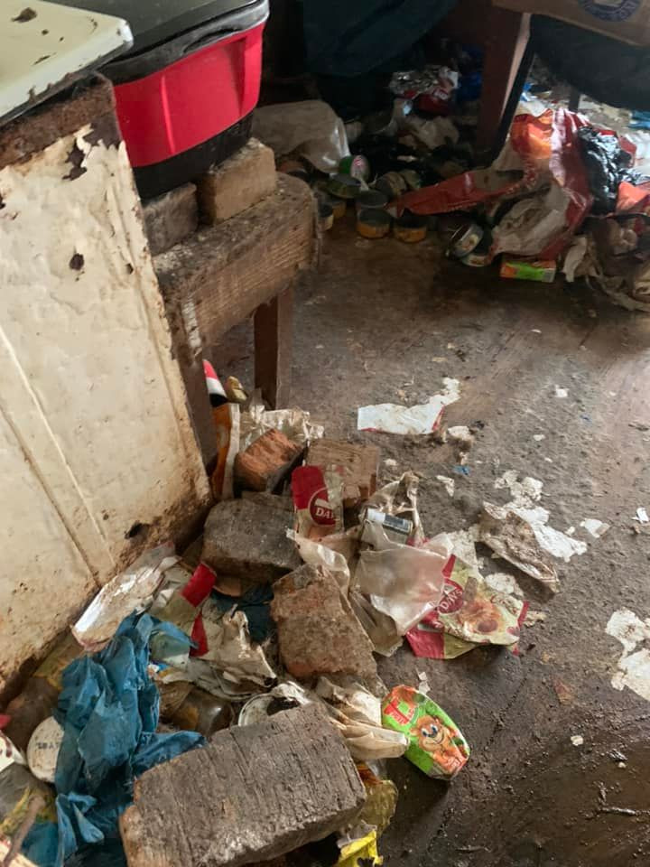 O femeie din Suceava a trăit 3 ani &icirc;nchisă &icirc;n podul casei, alături de c&acirc;inii săi. &rdquo;Cel mai revoltător caz de degradare umană&rdquo;