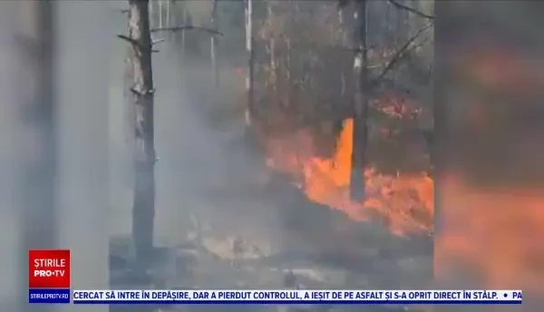 Veste bună pentru proprietarii pădurilor calamitate. 100 de milioane de euro, alocate prin PNRR, pentru regenerarea ariilor