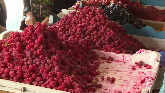 Românii cumpără zmeură din alte țări la prețuri exagerate. Explicația fermierilor români