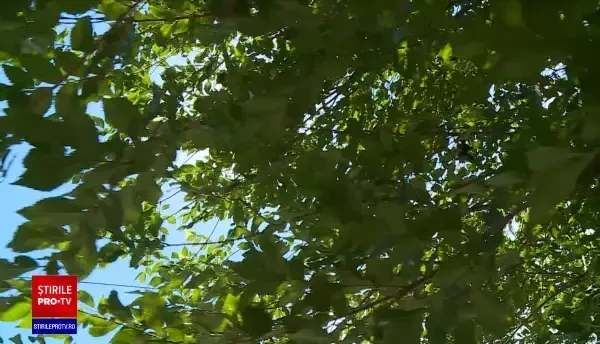 Canicula a venit la pachet cu vremea rea. Serviciul de ambulanță, copleșit de telefoanele românilor afectați de căldură