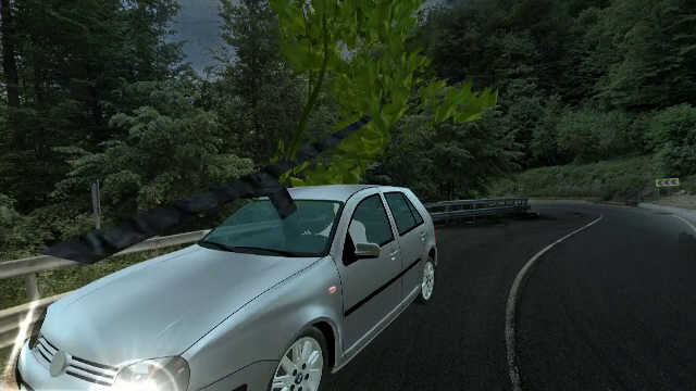 Cum s-a produs accidentul în urma căruia o creangă a intrat printr-un parbriz și a străpuns o femeie ANIMAȚIE GRAFICĂ