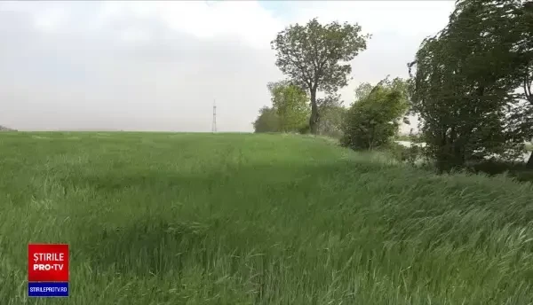 O tânără a fost rănită grav după ce o creangă a străpuns parbrizul mașinii și i s-a înfipt în bazin