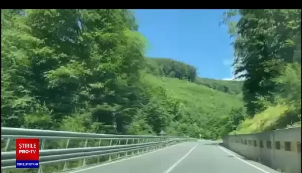 Cum s-a produs accidentul în urma căruia o creangă a intrat printr-un parbriz și a străpuns o femeie ANIMAȚIE GRAFICĂ