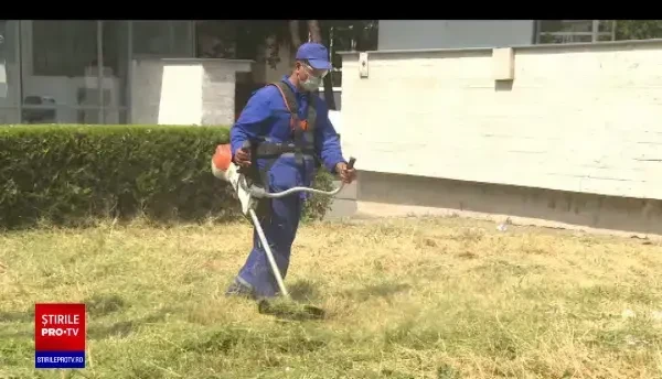 Patronii români recrutează tot mai mulți angajați din Asia. Cât câștigă imigranții și cât primeau în țările lor