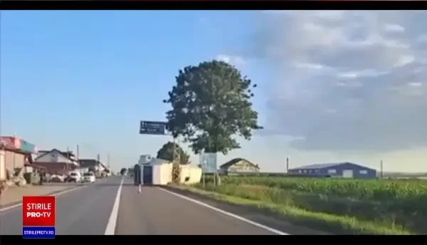 Mesaj RO-Alert după ce un camion cu stupi s-a răsturnat. O persoană a ajuns la spital după ce a fost înțepată de albine