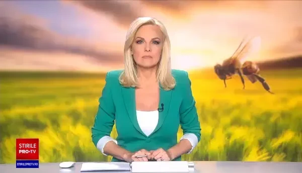 Mesaj RO-Alert după ce un camion cu stupi s-a răsturnat. O persoană a ajuns la spital după ce a fost înțepată de albine