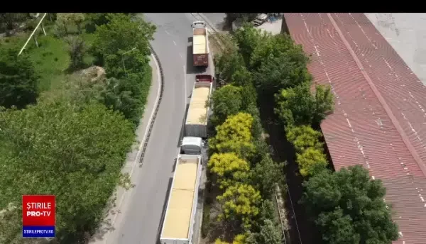Recolta de grâu românesc a blocat portul Constanța, sufocat deja de cerealele Ucrainei