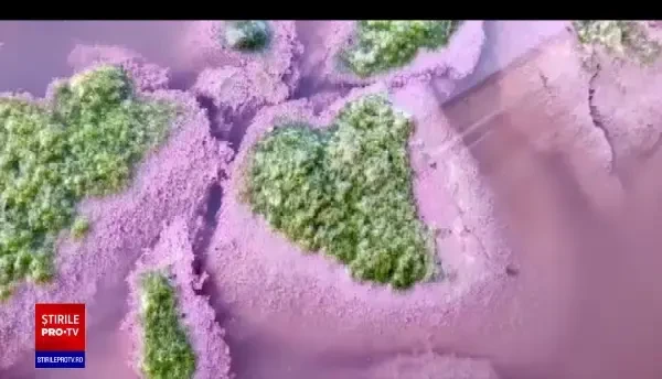 Fenomen spectaculos la Techirghiol. Ce efect are pentru oameni apa colorată în roz a lacului