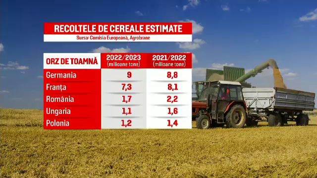 Seceta cauzată de temperaturile neobișnuit de mari va reduce recolta în România. Mai puține cereale produse în toată Europa