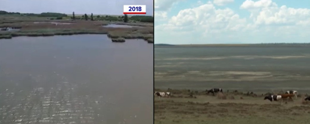 Lacul Amara din Buzău, de sute de hectare, a secat complet: „E dezastru, păsările sălbatice deja au părăsit zona”