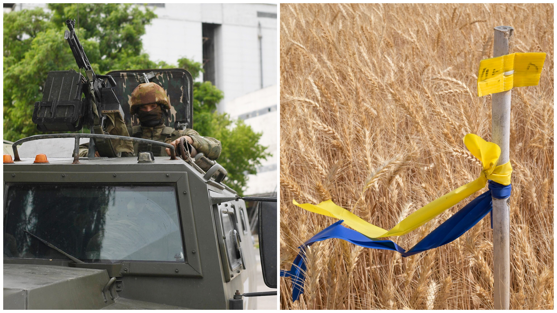 BBC: Unde duc rușii grânele pe care le fură din Ucraina și prin ce chinuri trec fermierii din zonele ocupate