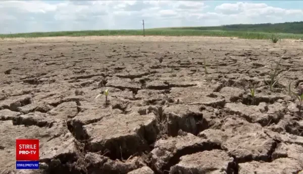 Lacul Amara, de sute de hectare, a secat complet: „E dezastru, păsările sălbatice deja au părăsit zona”