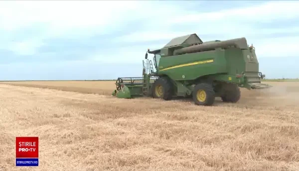 Seceta cauzată de temperaturile neobișnuit de mari va reduce recolta în România. Mai puține cereale produse în toată Europa