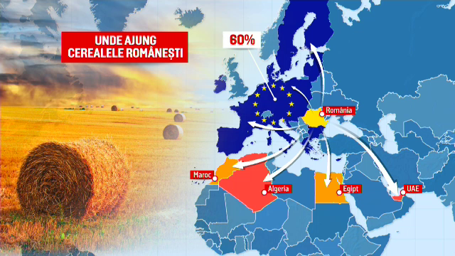 Camioanele cu cereale din Moldova și Ucraina vor ajunge mai ușor în UE. ”Salvăm oameni de la acest groaznic șantaj alimentar”