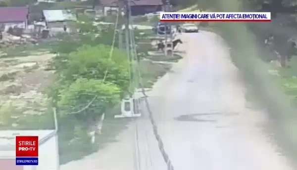 Un cal a fost bătut cu bestialitate de stăpânul său, cu un par. Tânărul de 18 ani a fost reținut. VIDEO