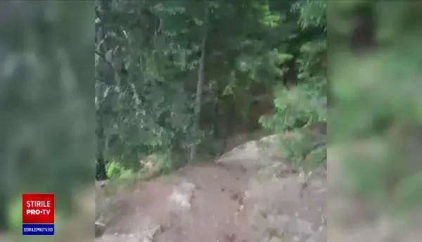 Imagini incredibile din Parcul Național Piatra Craiului. Petrecere ilegală, cu muzică live, grătare și hore, la o stână