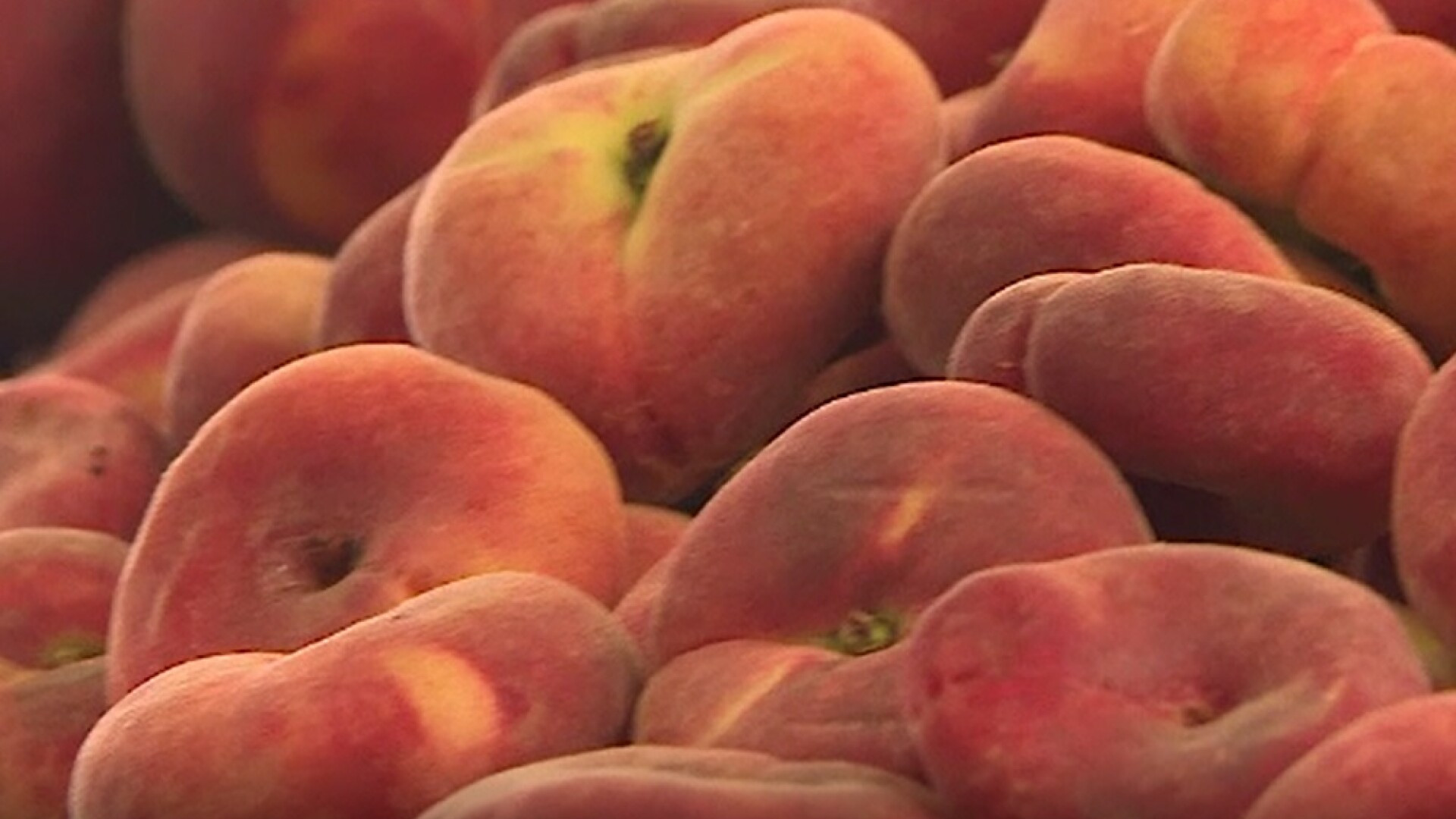 Recoltă bogată de caise și piersici în România. Cât costă un kilogram