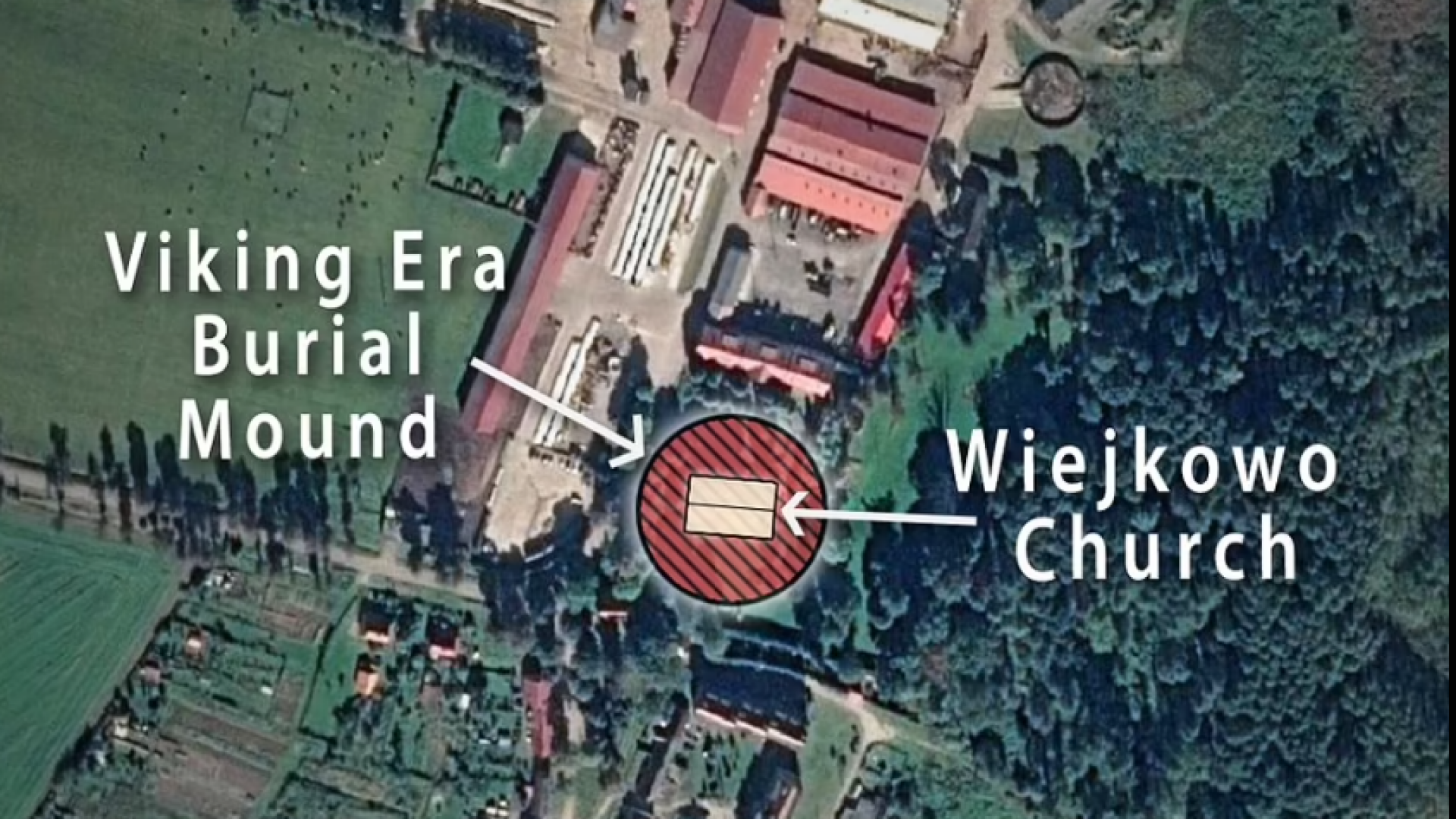 regele viking Bluetooth