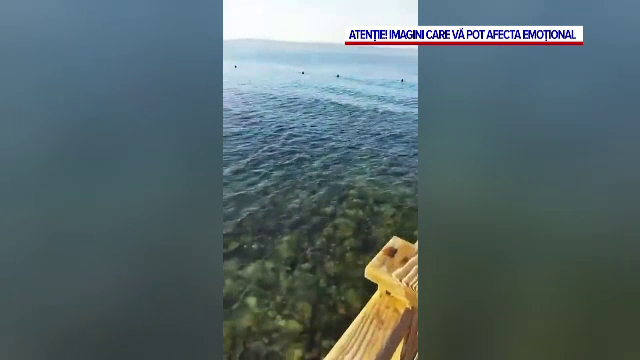 Ultimele cuvinte ale femeii din Austria care a fost sfâșiată de rechin în Egipt