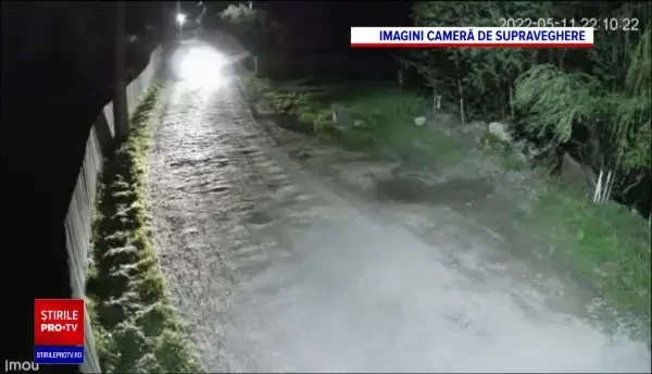 Soluție pentru prevenirea tăierilor ilegale de lemn: camere video montate pe drumurile forestiere