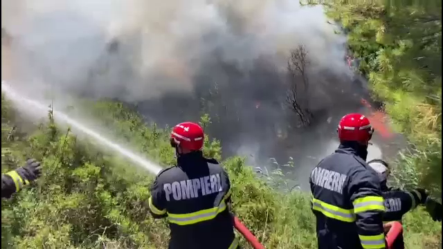 Pompierii români au participat la prima misiune de stingere a incendiilor de vegetaţie din Grecia