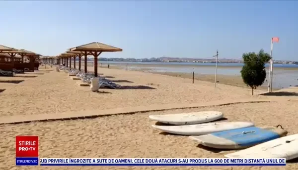 Scufundarea unui vas plin de oi, posibila cauză a atacurilor rechinilor din stațiunea din Egipt, unde o româncă a murit