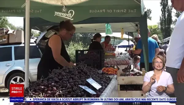 Zona din România renumită pentru recolta gustoasă de cireșe. Cumpărătorii nu mai găsesc asemenea marfă în altă parte