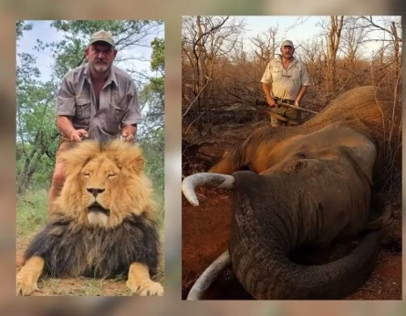 Un vânător de trofee care a ucis lei și elefanți a fost găsit împușcat în cap, lângă mașină