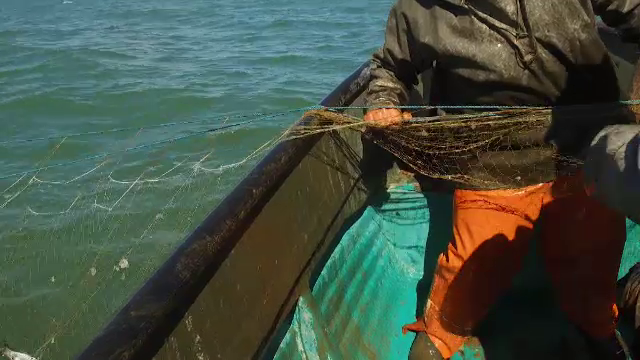 O nouă lege a pescuitului, adoptată de Senat. Ce prevede aceasta