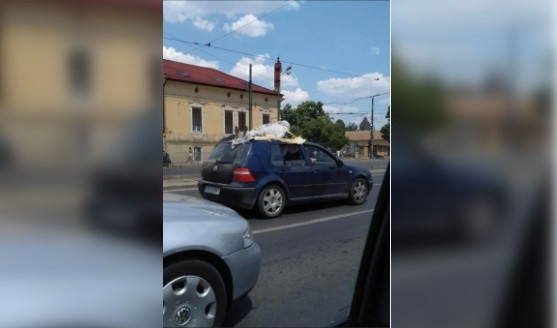 Amenda primită de un artist din Timiș care îşi transporta pe plafonul maşinii exponatul, care semăna cu un cadavru uman