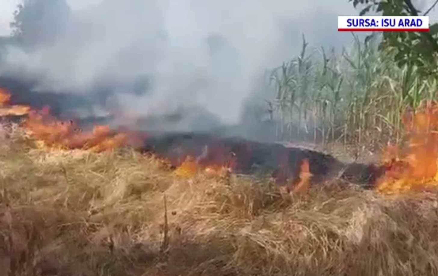 Incendii puternice de vegetație, pe litoral și în țară. Au pornit de la arderea ilegală a resturilor