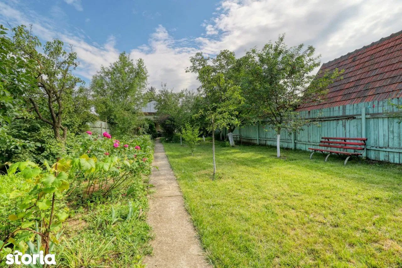 case Bucuresti padure - 3