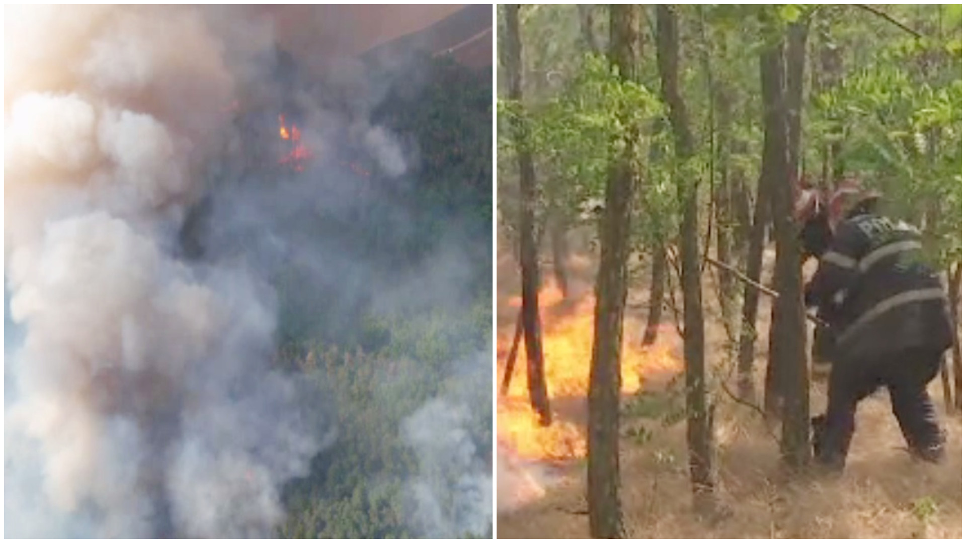 Incendiu uriaș în Vrancea. Zeci de hectare de pădure și de vegetație uscată, mistuite de flăcări