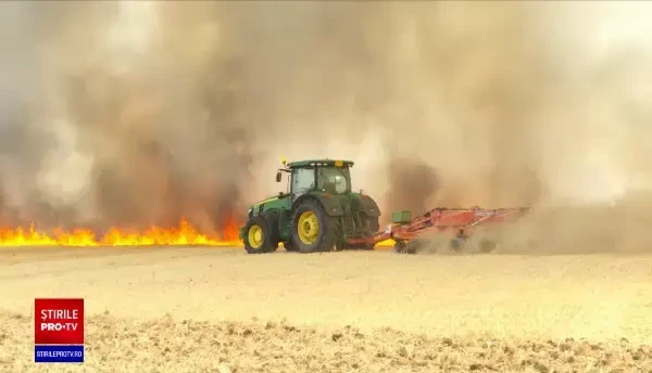 Un incendiu a distrus o cultură de grâu, în plin sezon de recoltare