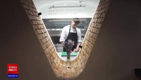 Domeniile cu cea mai mare creștere a numărului de angajați în 2022. Agricultura are tot mai puțini muncitori necalificați