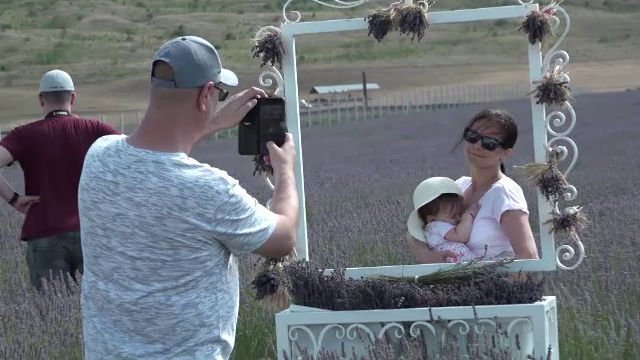 Un teren cu lavandă în județul Iași face senzație pe rețelele sociale. Sute de români îl vizitează zilnic