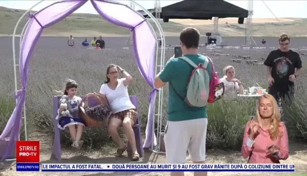 Un teren cu lavandă în județul Iași face senzație pe rețelele sociale. Sute de români îl vizitează zilnic