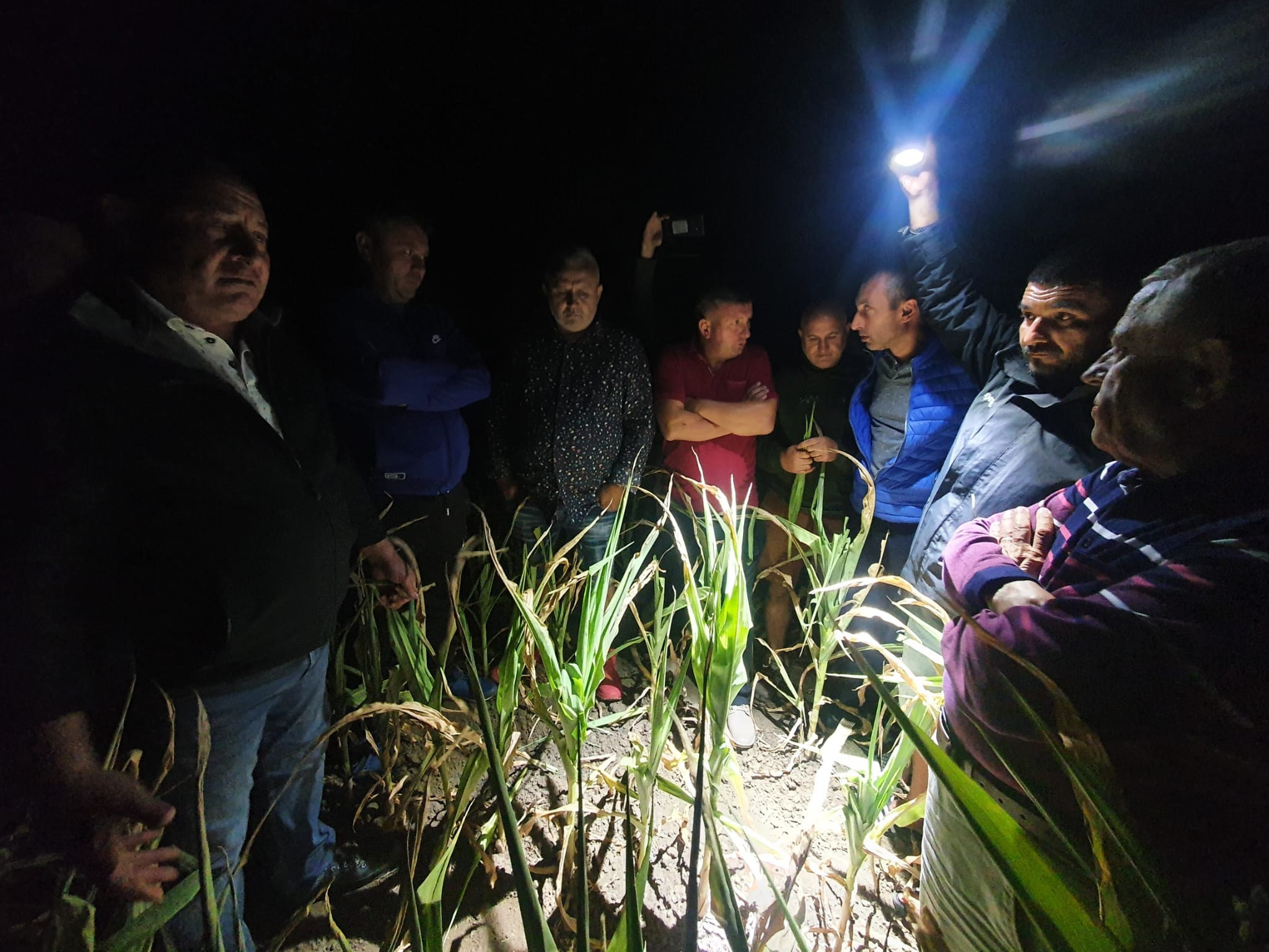 Ministrul Petre Daea s-a dus noaptea pe câmp să vadă, la lanternă, pagubele făcute de secetă