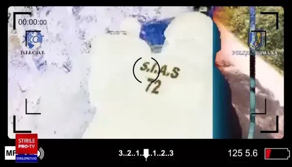 Cine sunt cei doi columbieni care au extras cocaină într-un laborator improvizat din Bihor